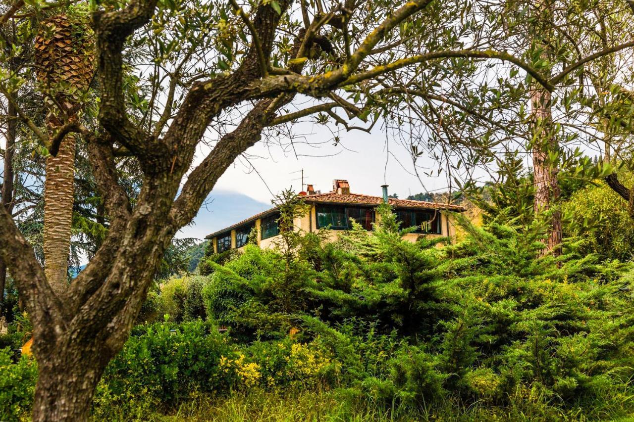 Casa Matilde Panzió Mommio Kültér fotó